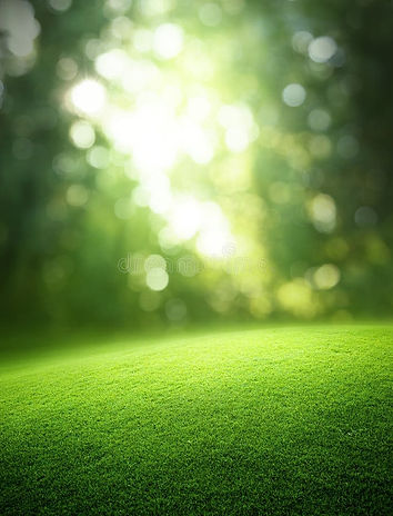 spring-forest-background-green-grass-43363092.jpg