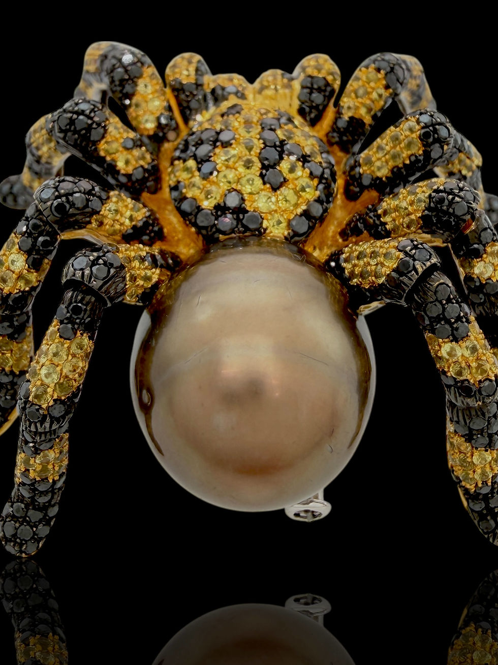 Thumbnail: Stéfère 18K white, black & yellow gold 1 of 1 tarantula brooch