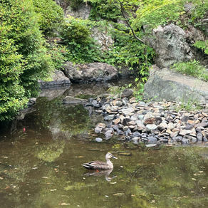 景色が戻りました