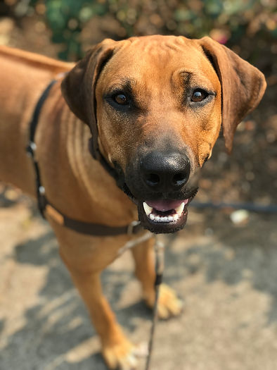 penny3.jpg