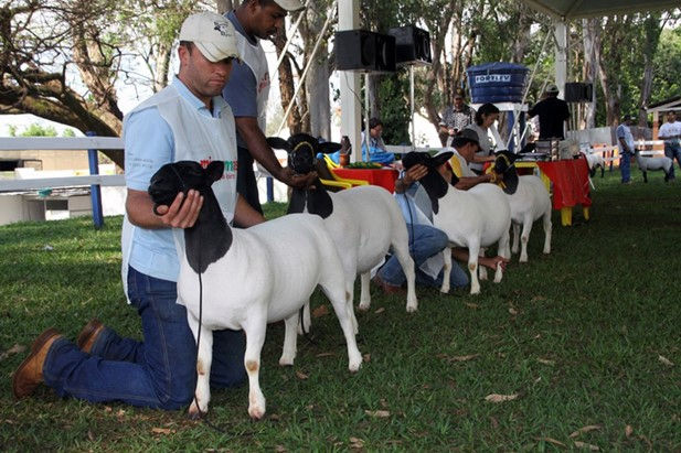 EXPOVELHA