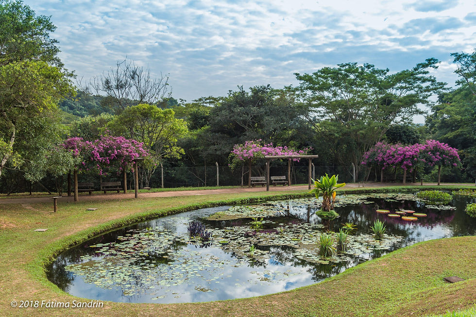 Jardim Botânico
