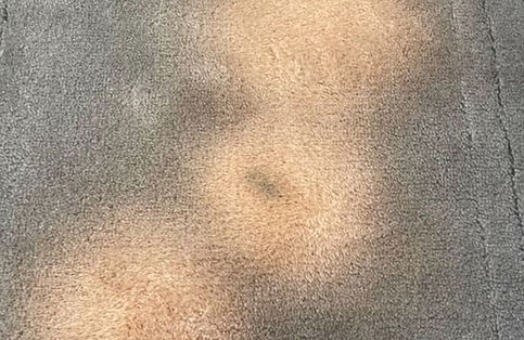 Bleach Spot removal North Vancouver