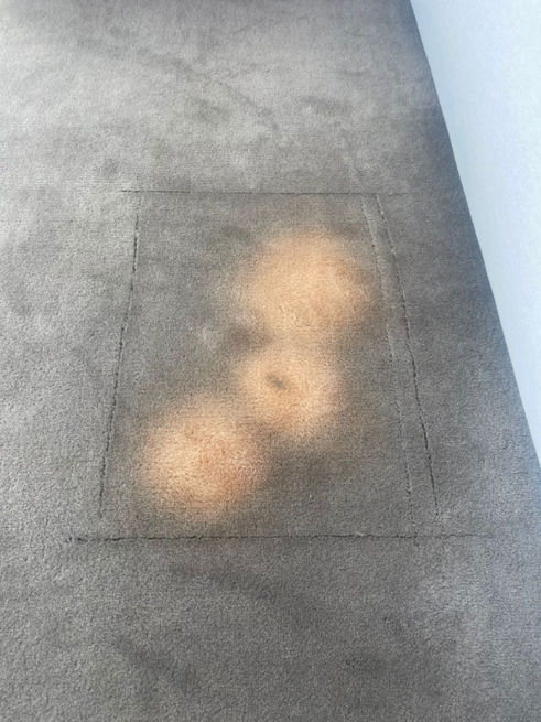 Beach Spot on carpet