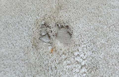 Damage Carpet repair North Vancouver