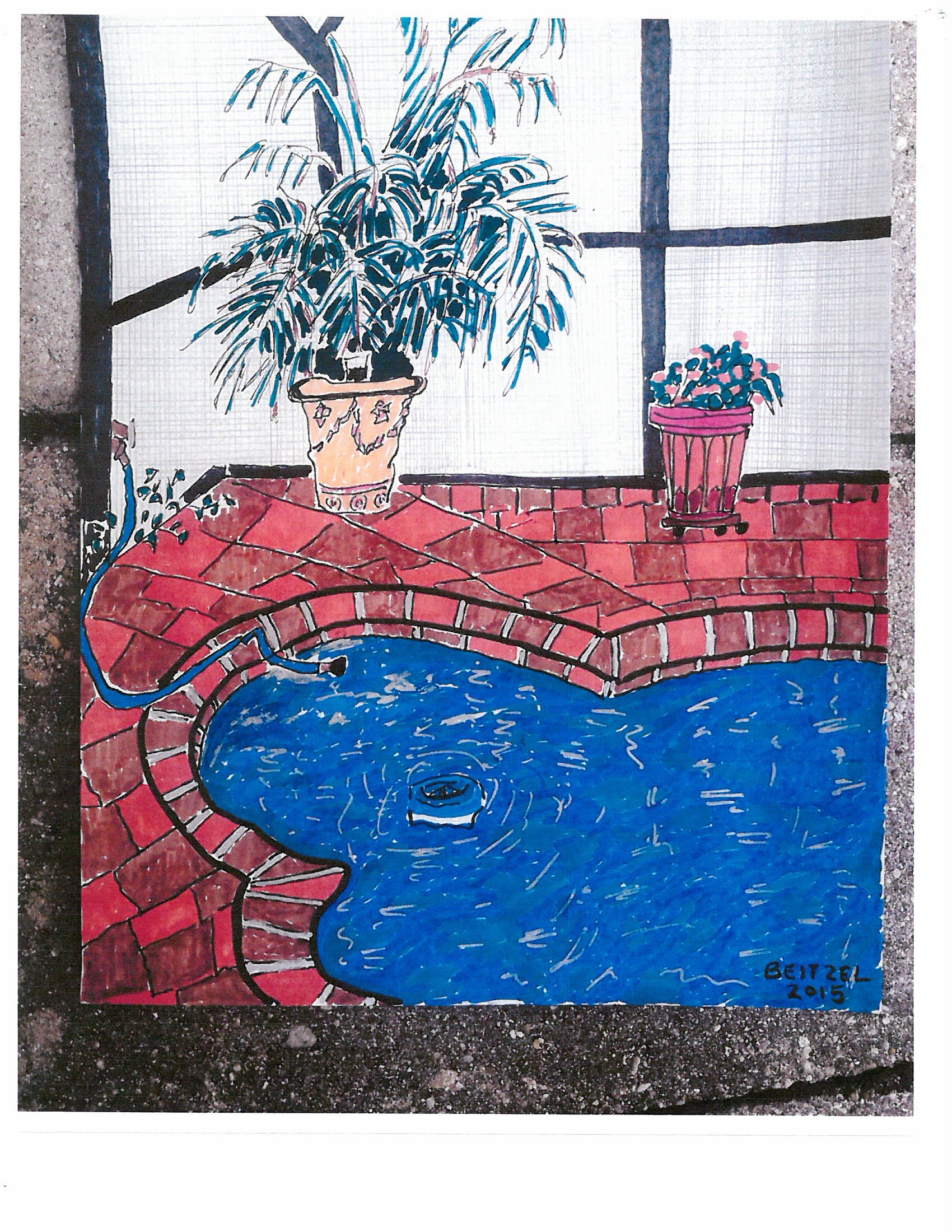 Tampa Pool