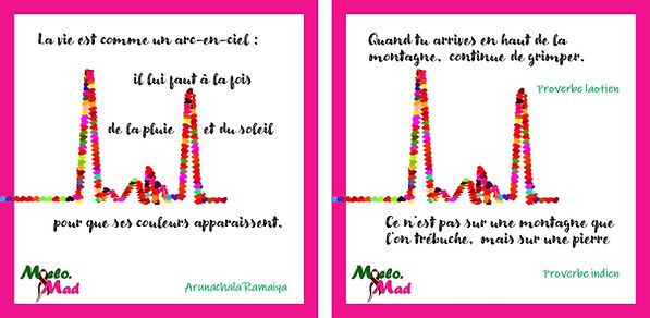 MyeloMood - pic et proverbe