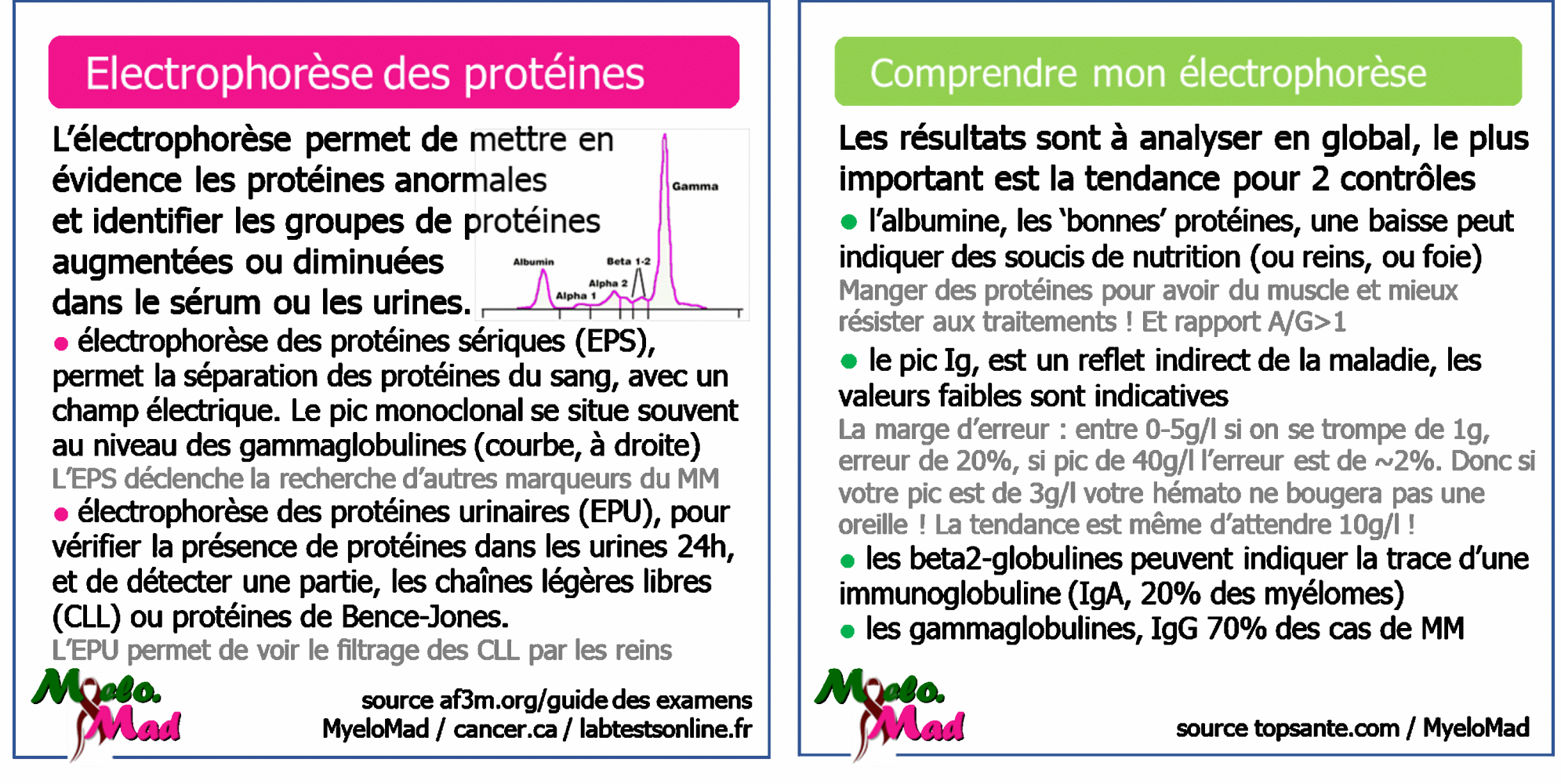 MyeloMood - Mes Analyses - Electrophorèse de Protéines