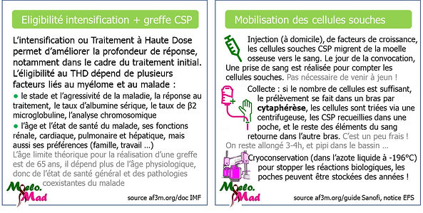 MyeloMood - Intensification et cellules souches