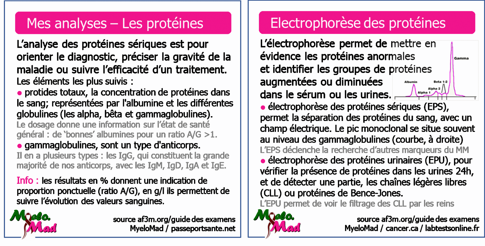 MyeloMood - Mes Analyses - Les Protéines