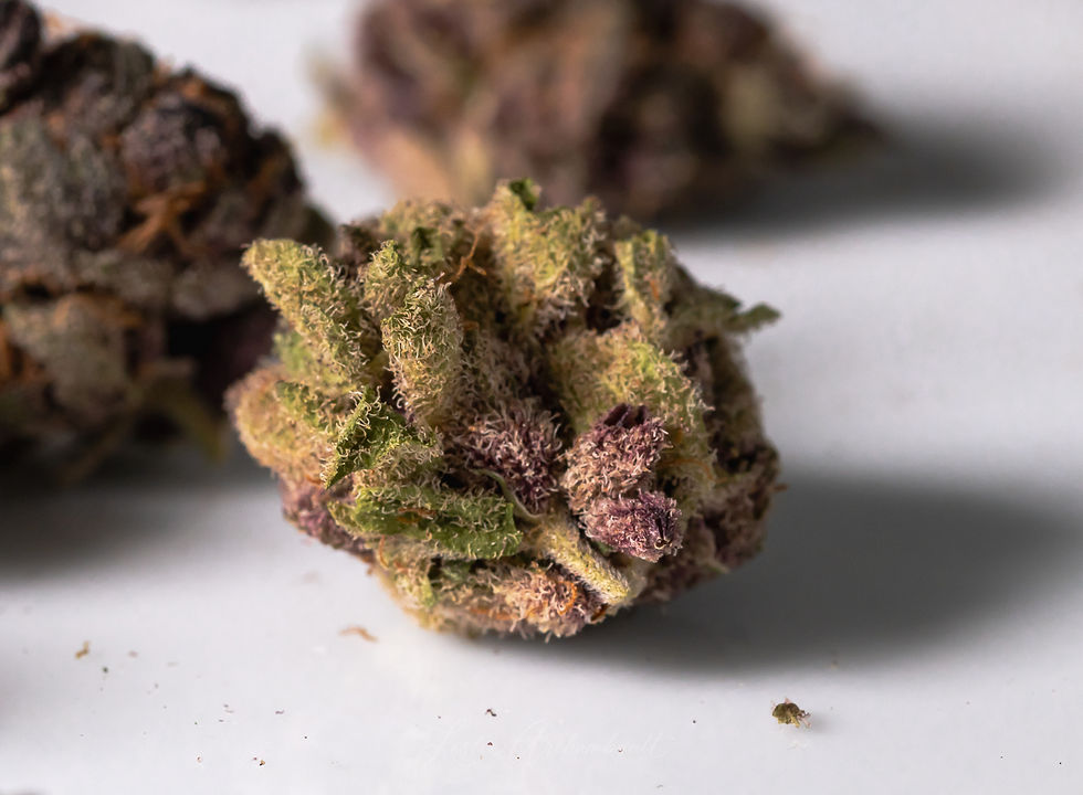 Fuzzy cannabis bud