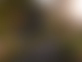 Path on the Bronx River