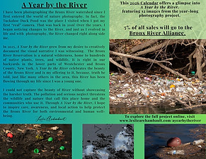 About a year by the river
