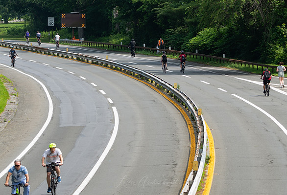 Bicyclists riding on the Bronx River Parkway