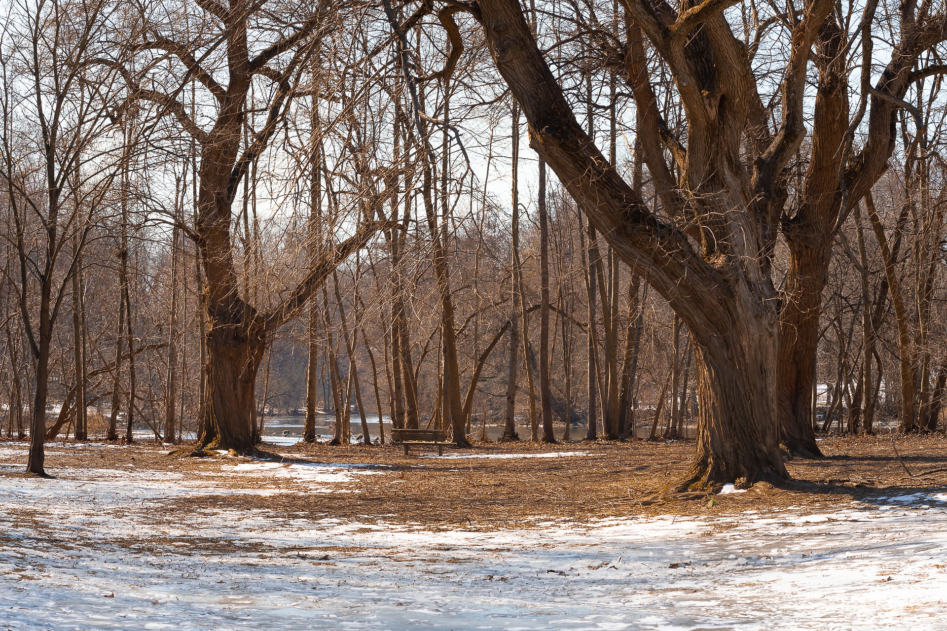 A bench overlooking the Bronx River in Tuckahoe, NY