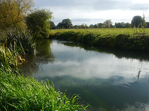 Upper St. Patrick's Stream
