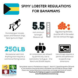 Regulations & Legislation