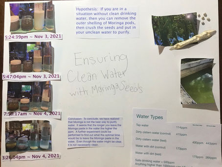 A Natural Way to Purify Water