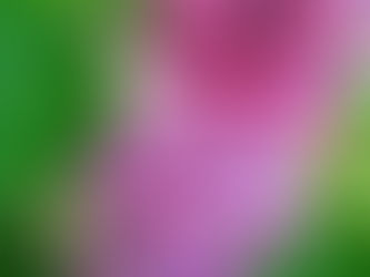 Purposefully Planned