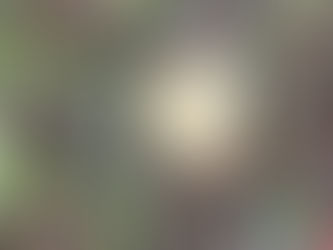 Finding God’s Love in Everyday Moments