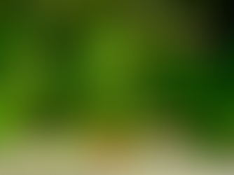 An Essential Spiritual Tool