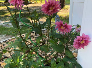 Something About Summer