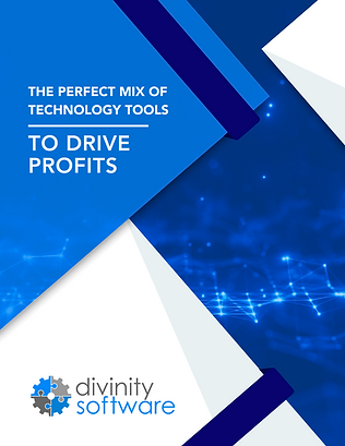 Divinity Software E-book.png