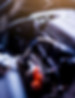 adobestock_235902339.jpeg