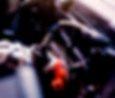 adobestock_235902339.jpeg
