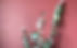 leisha-norman-interior-design-southampton-edit.jpg