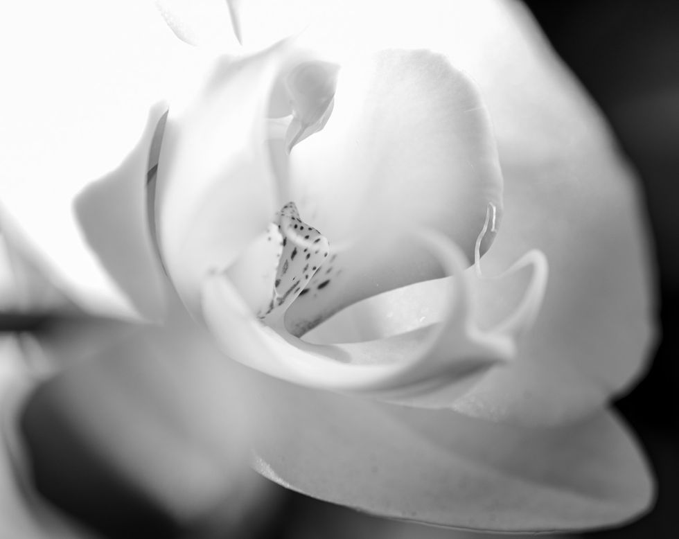 DSC_7035