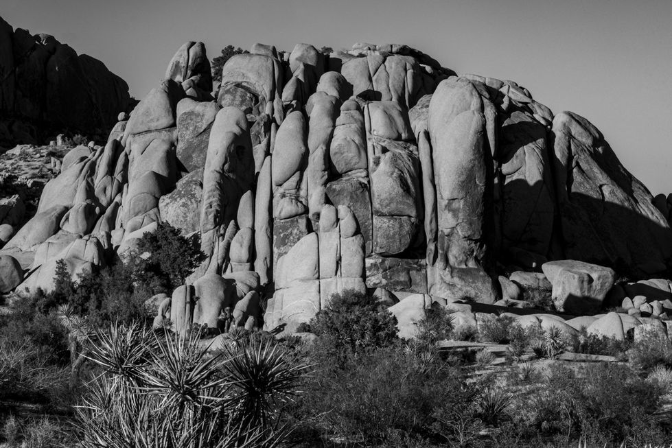 DSC_2874