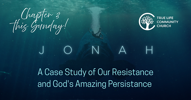 A Case Study of Our Resistance (1).png