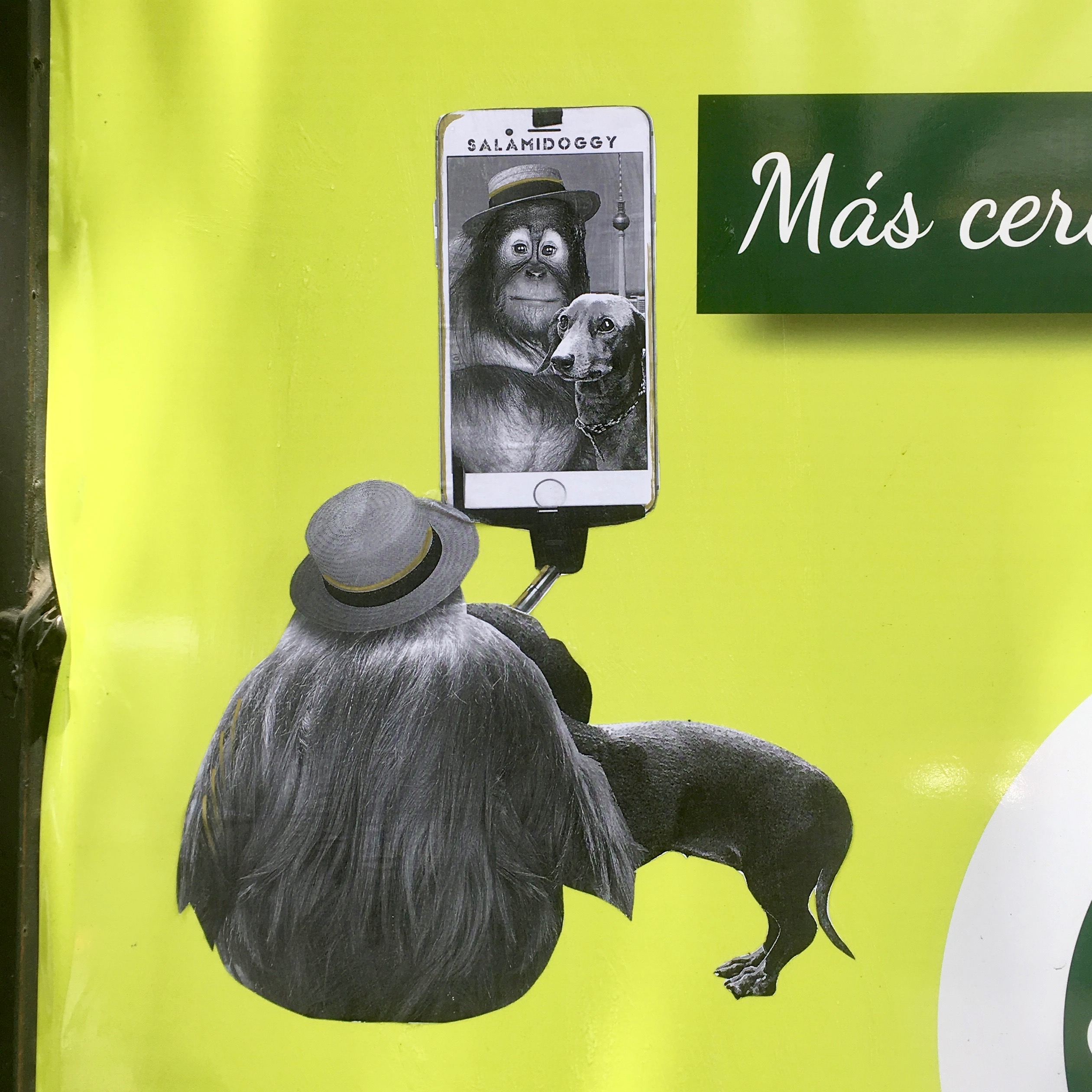 Selfiealarm