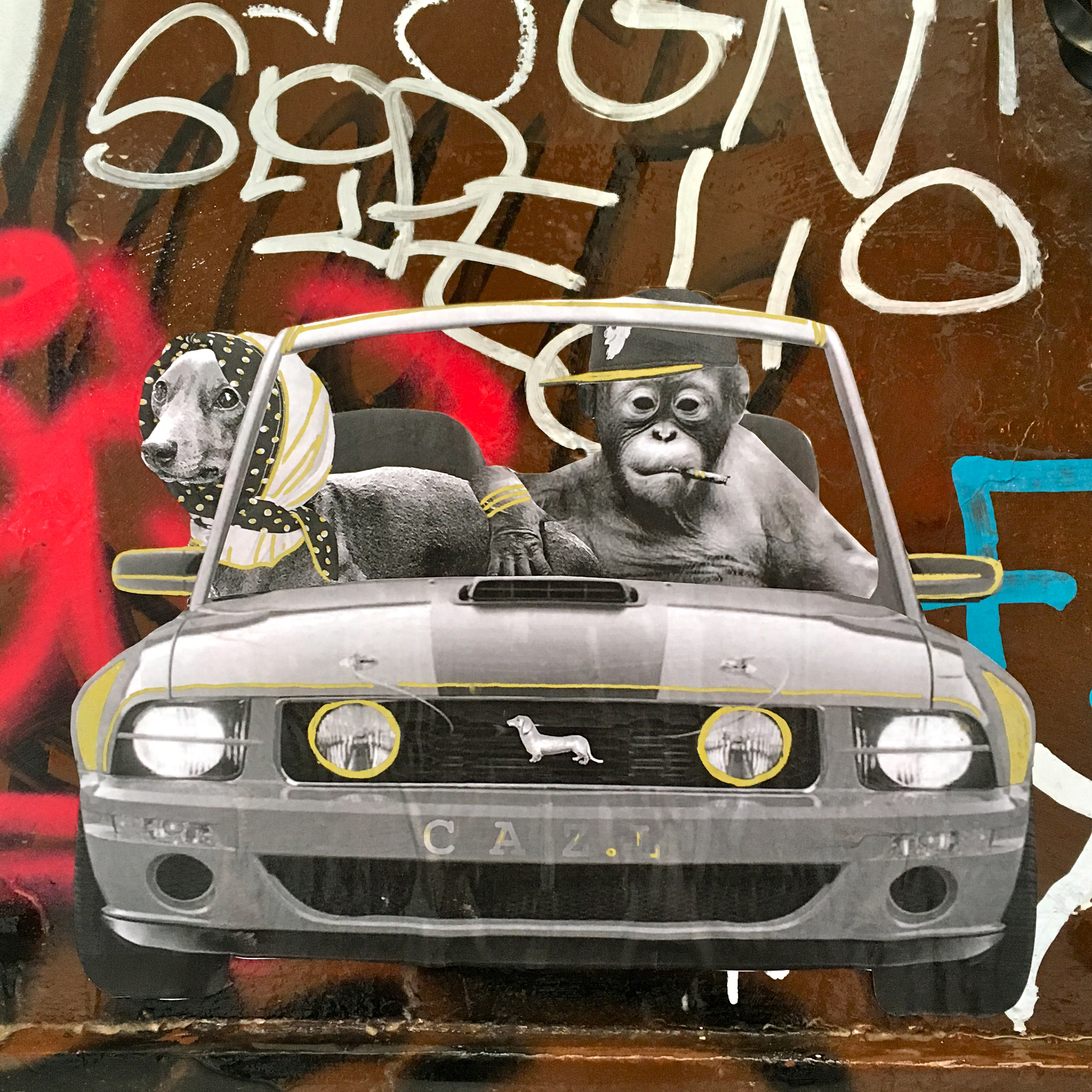 Back In Town (Ford Dackel)