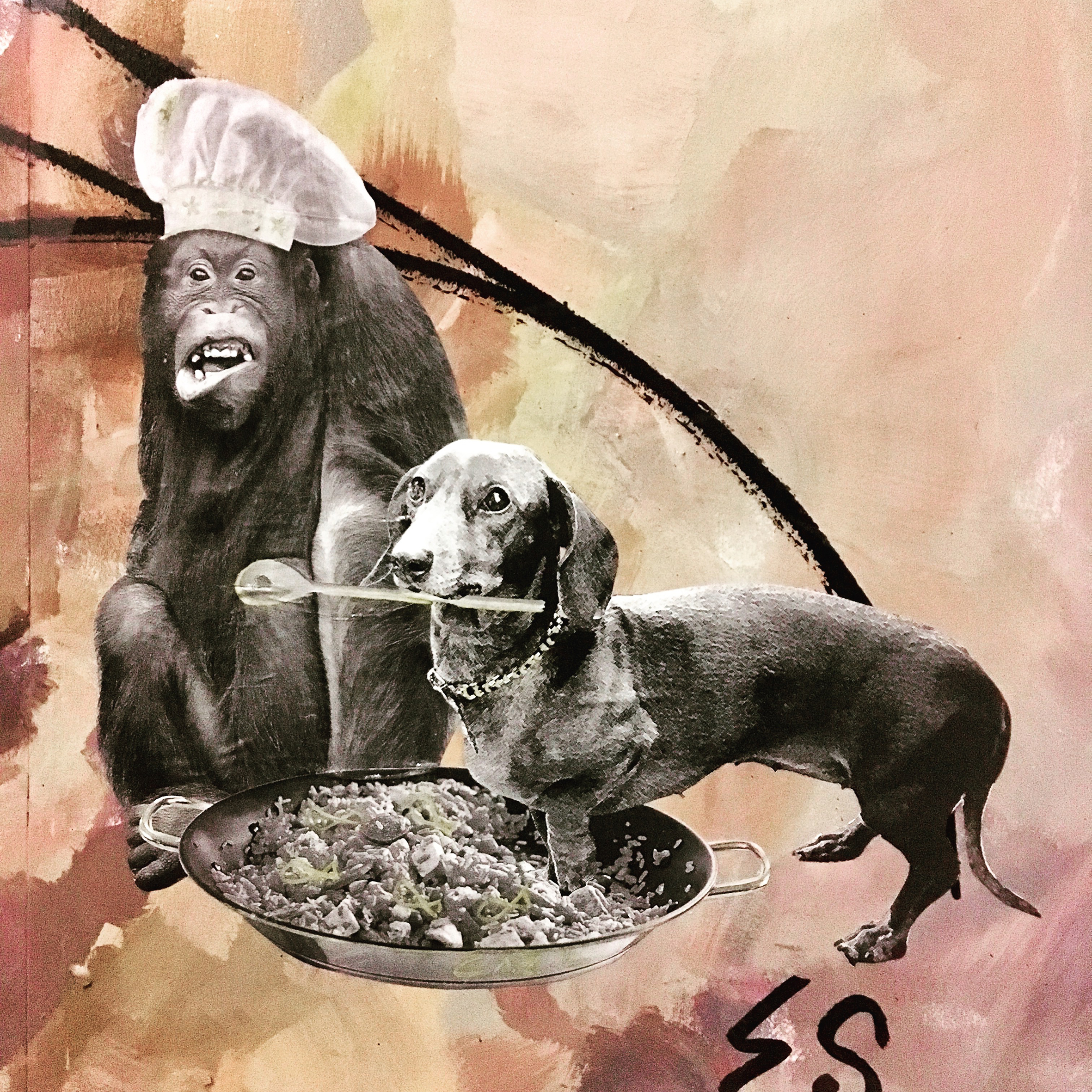 PaellaParty