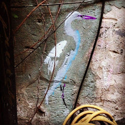 Hidden Waterbird /Bln