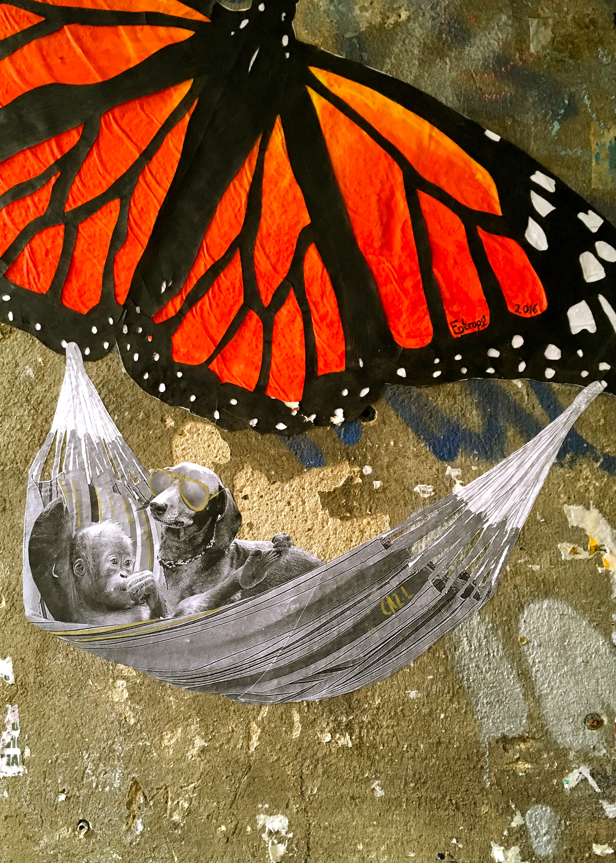 chilling under a butterfly