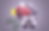 a.png