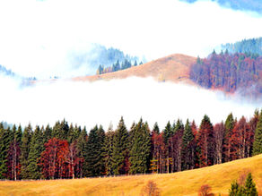 4 motive pentru care toamna e cel mai bun moment să începi să te antrenezi pentru un ultramaraton