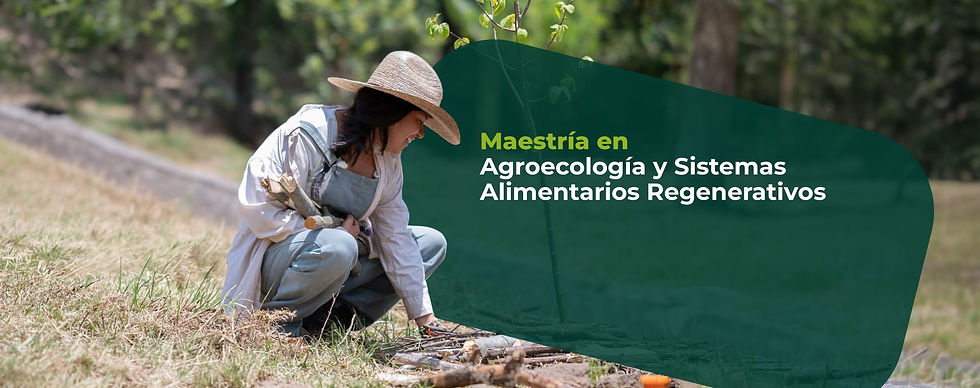 maestria-agro-header-2.jpg