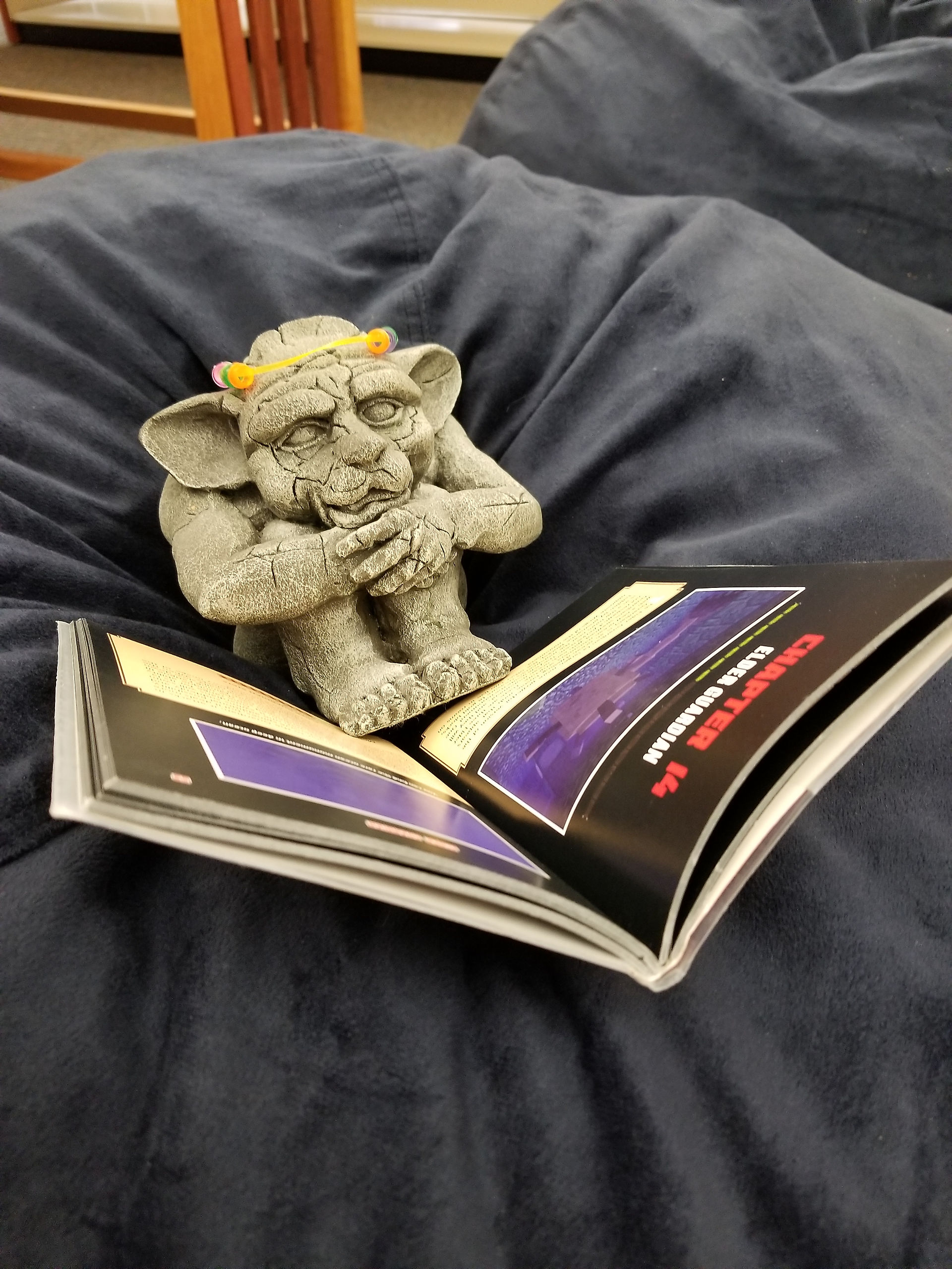 Photo of Snickers the Gargoyle enjoying a book in a bean bag chair