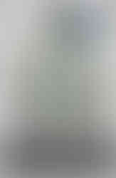 Book cover looking up to the sky through the forest canopy with a blue butterfly