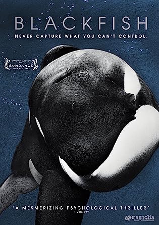 DVD cover with a whale