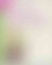 Book cover with a drawing of a little girl and to girls walking down a school hallway with backpacks on