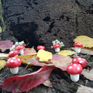 Photo of a fairy ring with fall leaves