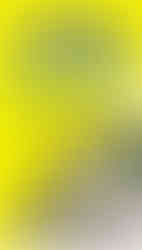 Yellow book cover with a green eye on the front