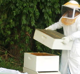 Beekeeper with a Nuc Frame