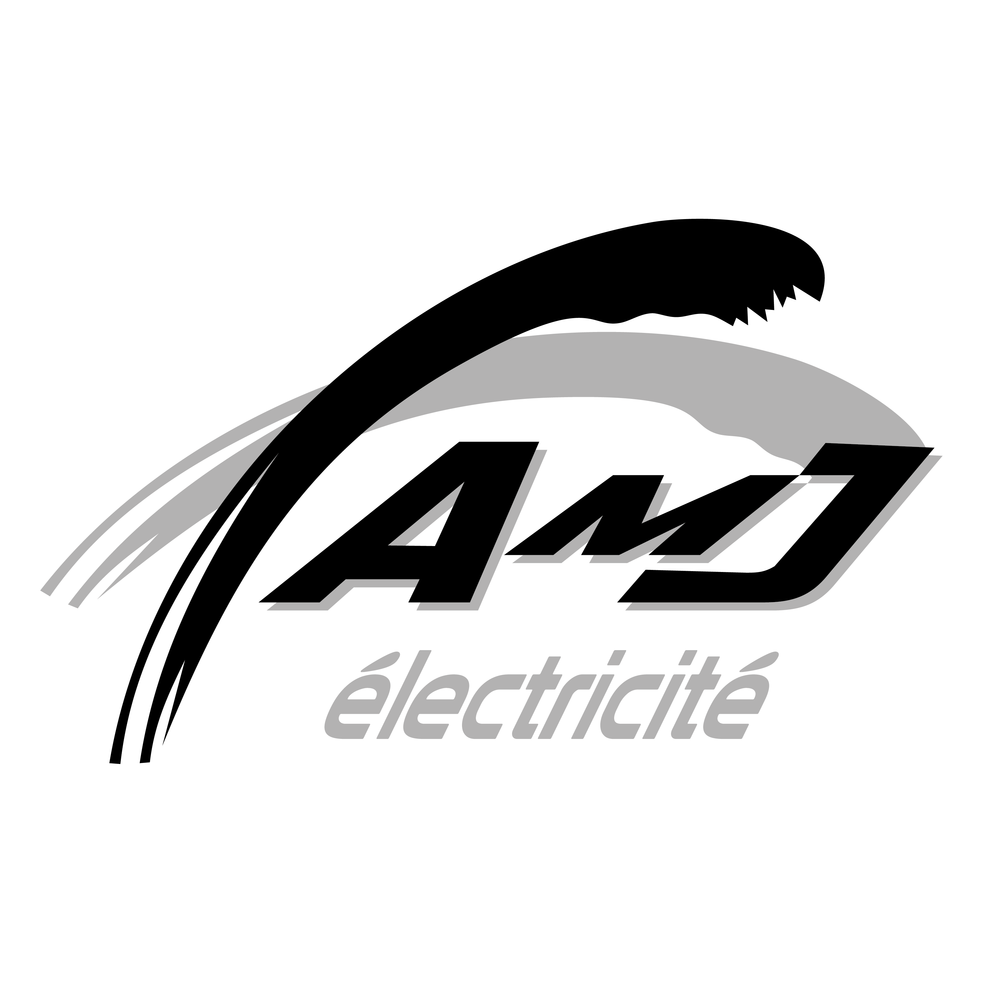 amj 800 x 800 px.png