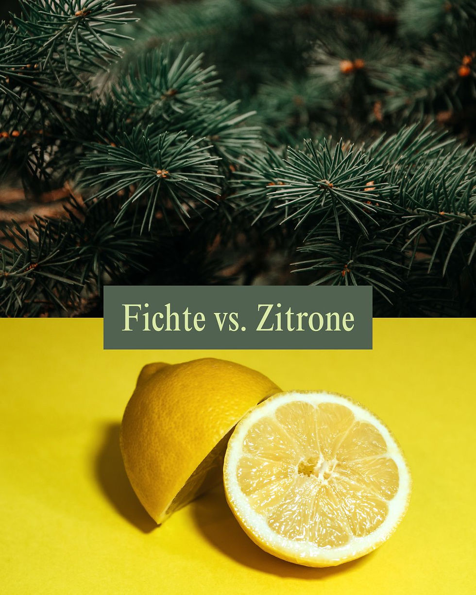 WOIDAROMA - "Fichte vs. Zitrone"